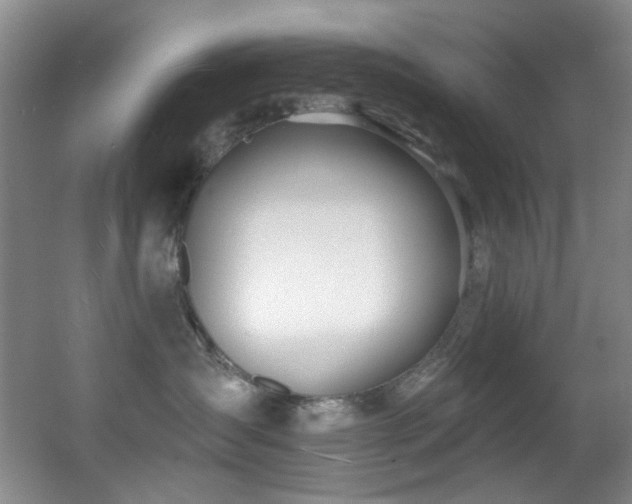 X0000055520431200508121048