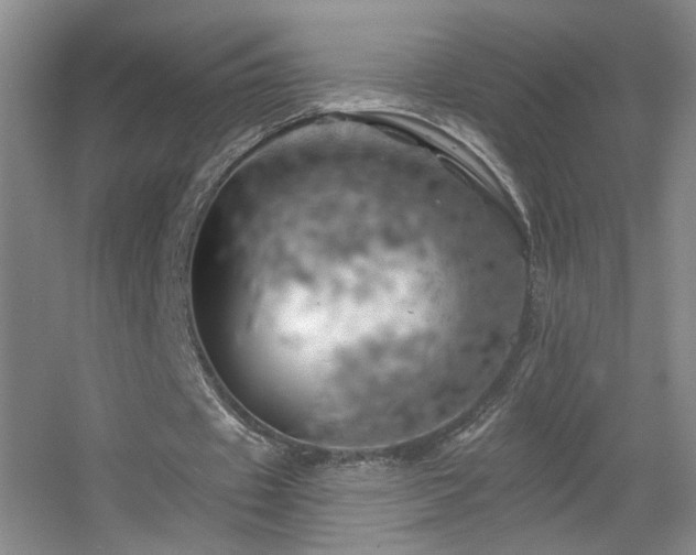 X0000055520433200508121047