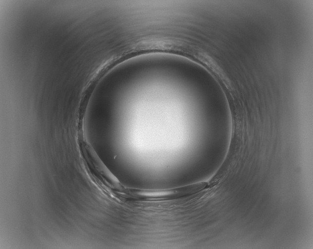 X0000055520434200508121047