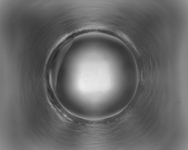 X0000055520436200508121047