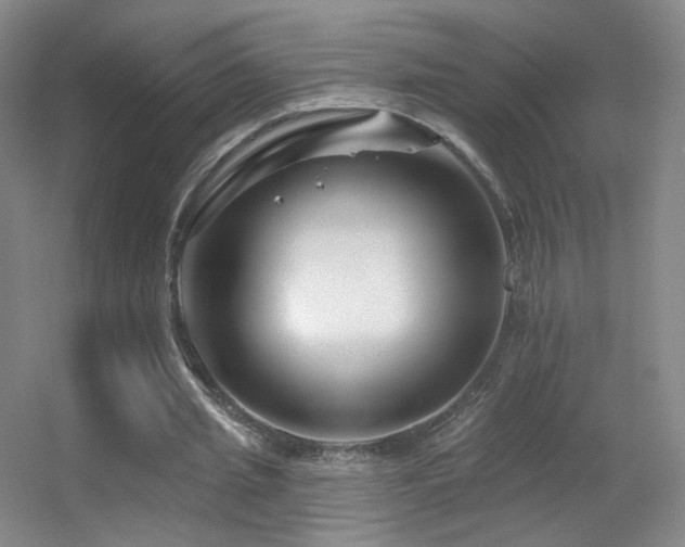 X0000055520437200508121047