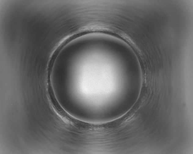 X0000055520438200508121047
