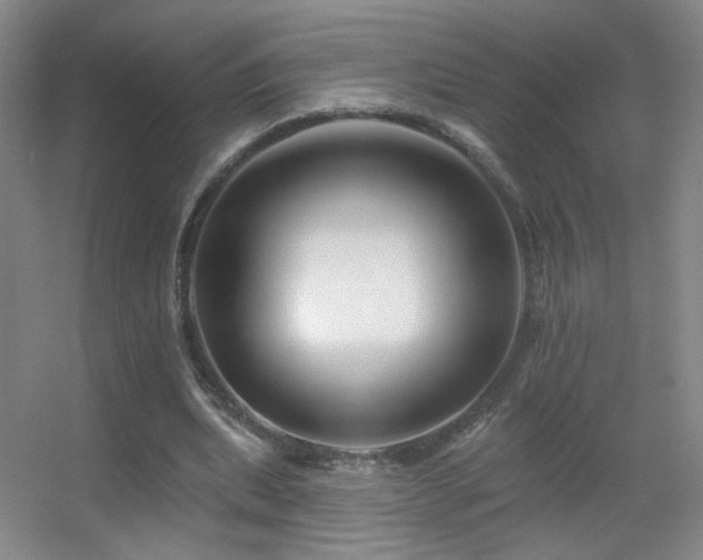 X0000055520439200508121047