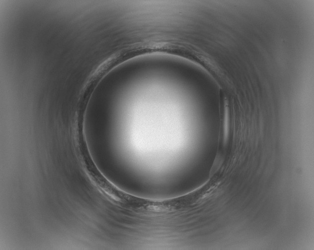 X0000055520442200508121047