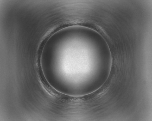 X0000055520443200508121047