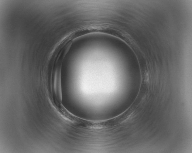 X0000055520444200508121047