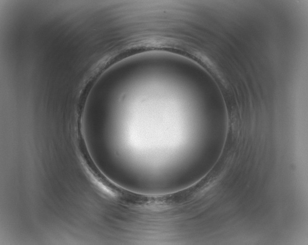 X0000055520445200508121047