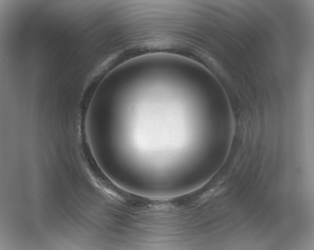 X0000055520446200508121047