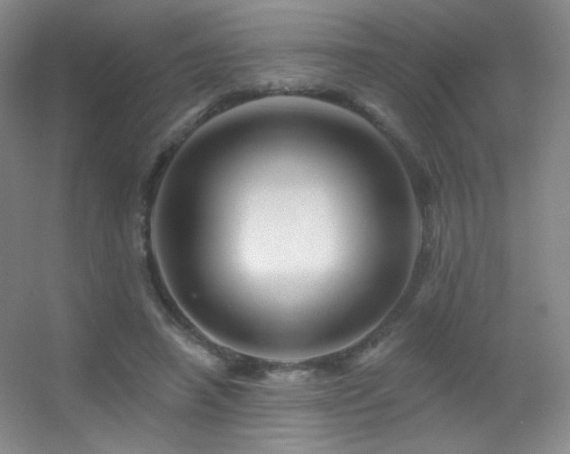 X0000055520450200508121048