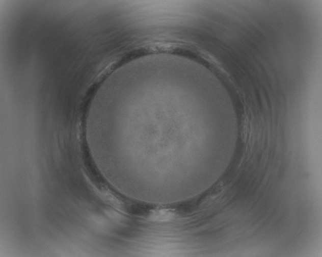 X0000055520451200508121048
