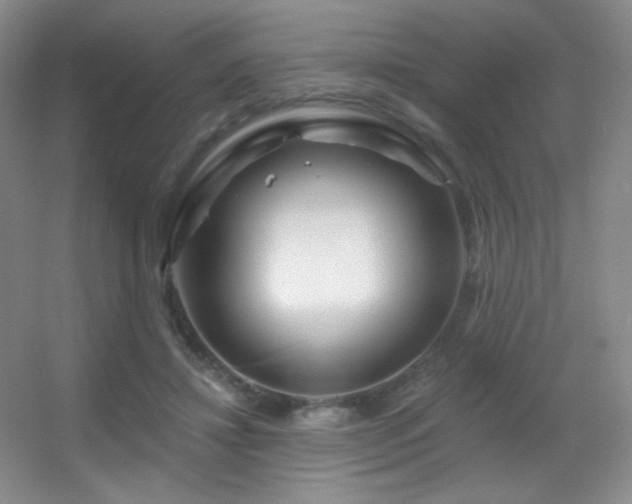 X0000055520452200508121048