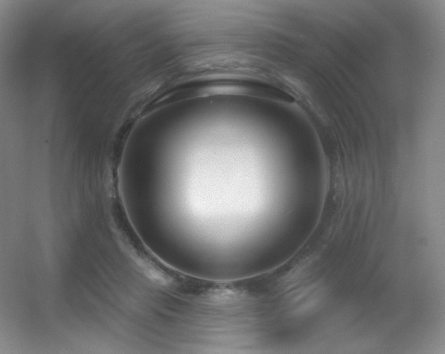 X0000055520453200508121048