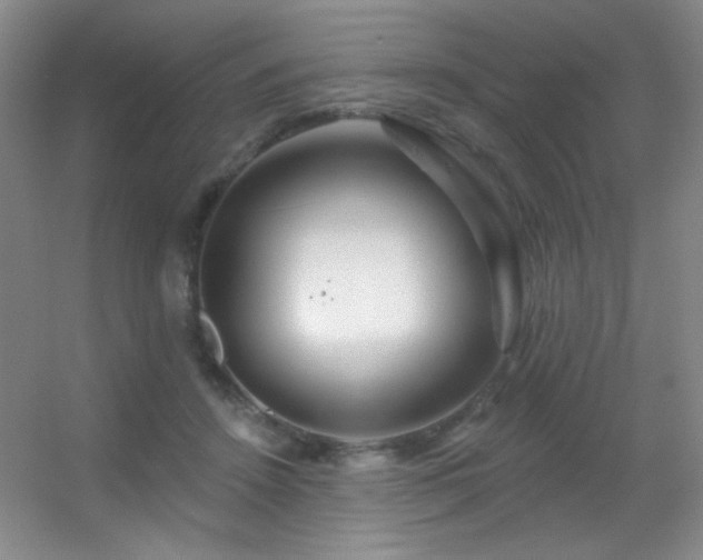 X0000055520456200508121048