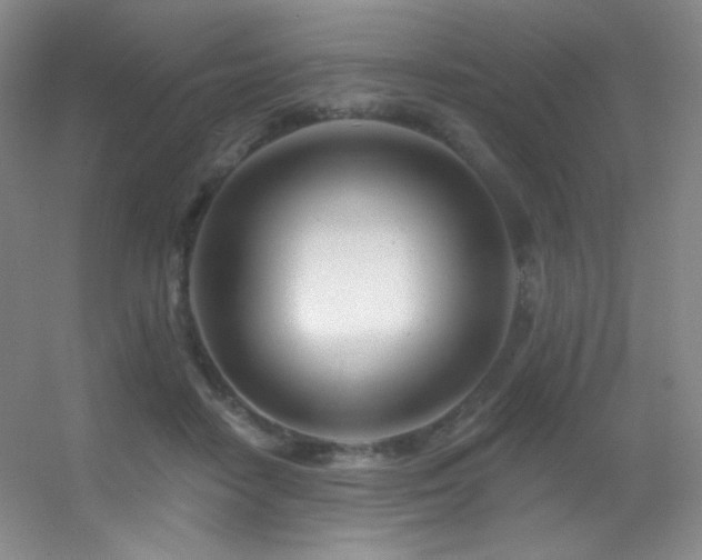 X0000055520458200508121048