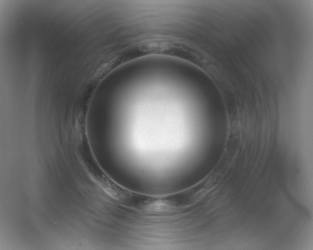 X0000055520460200508121048