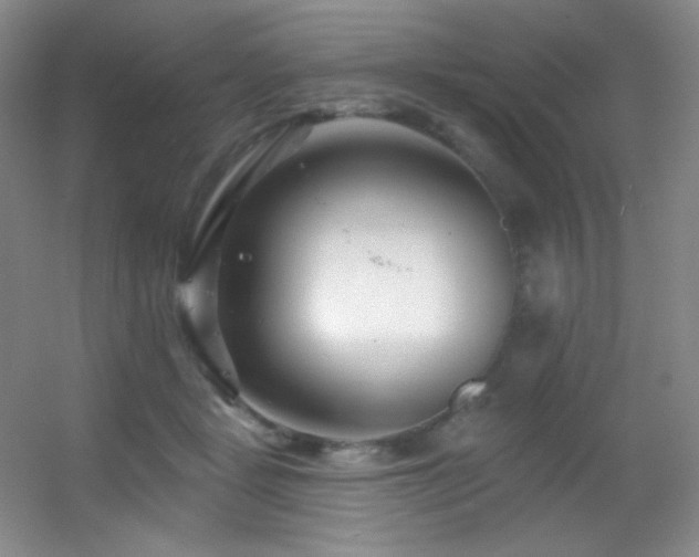 X0000055520461200508121048