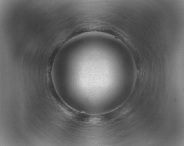 X0000055520462200508121048