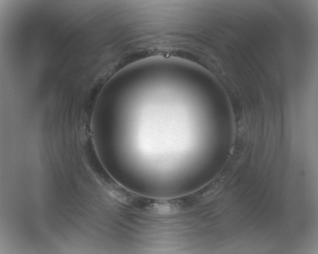 X0000055520464200508121048