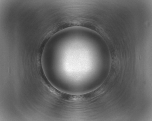 X0000055520466200508121048