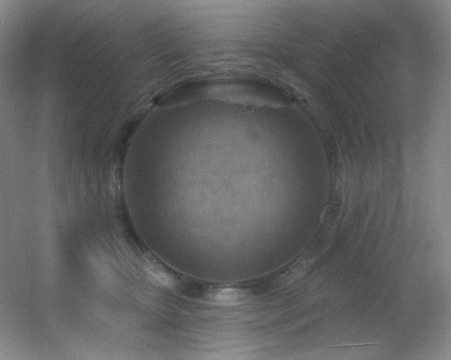 X0000055520467200508121048