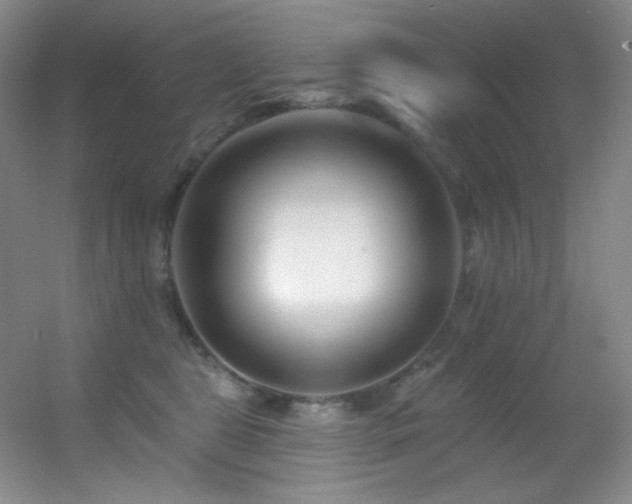 X0000055520469200508121048