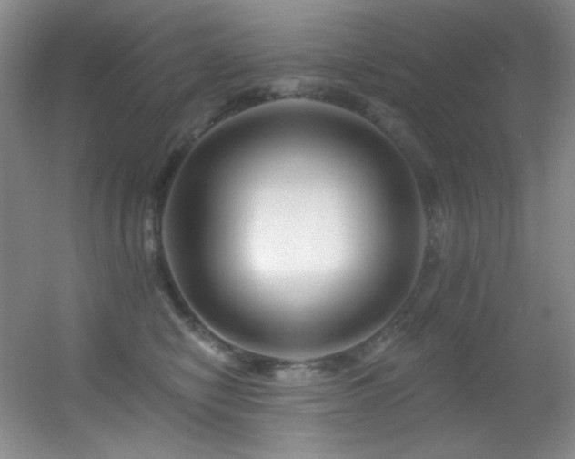 X0000055520470200508121048