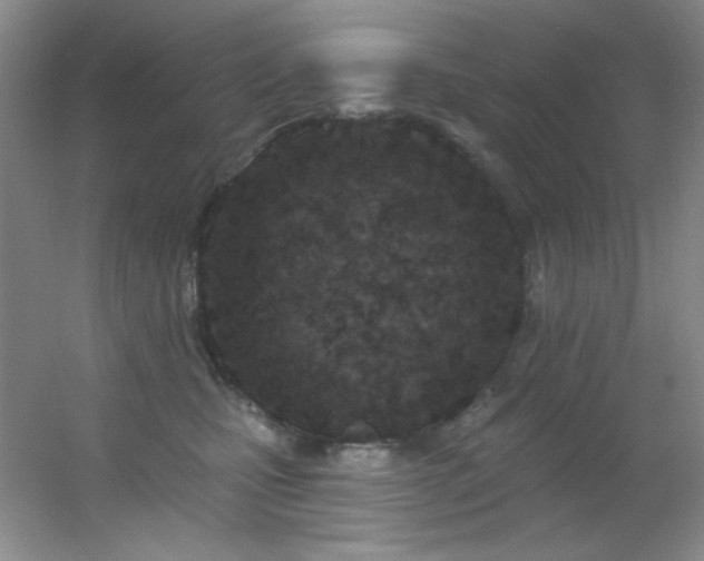 X0000055520471200508121048