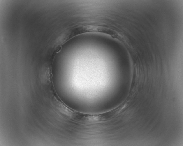 X0000055520473200508121048