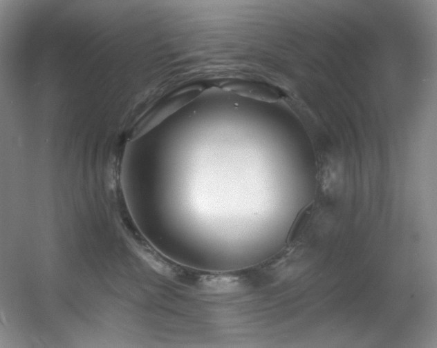 X0000055520476200508121048