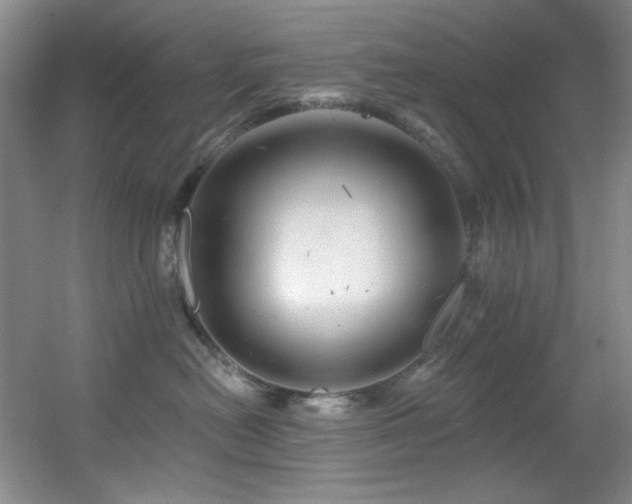 X0000055520478200508121048