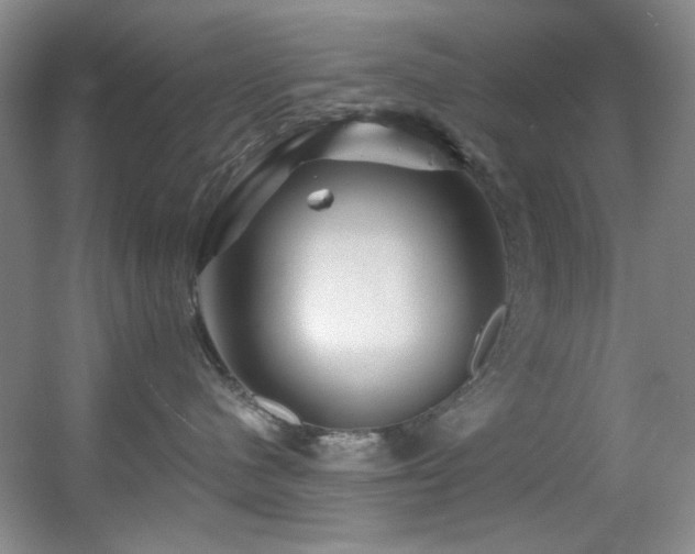 X0000055520480200508121048
