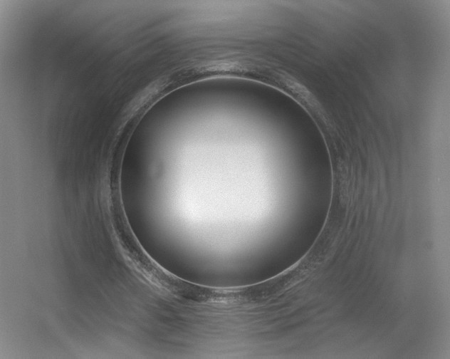 X0000055520482200508121047