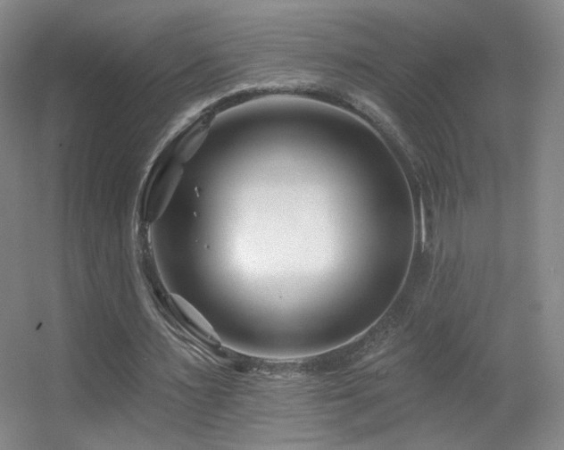 X0000055520483200508121047