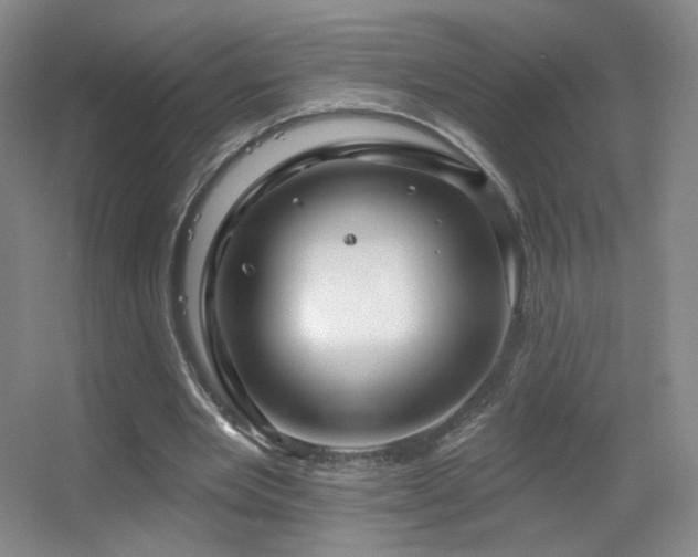 X0000055520485200508121047