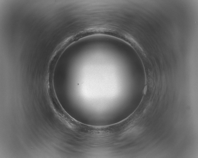 X0000055520486200508121047