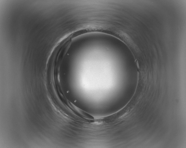 X0000055520488200508121047