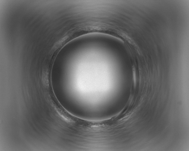 X0000055520489200508121047