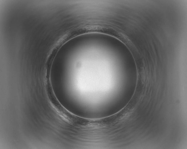 X0000055520490200508121047
