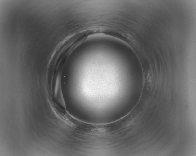 X0000055520492200508121047