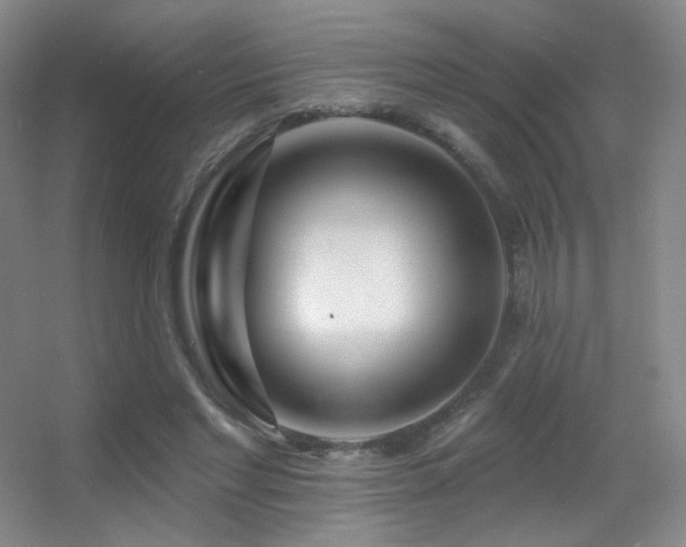 X0000055520493200508121047