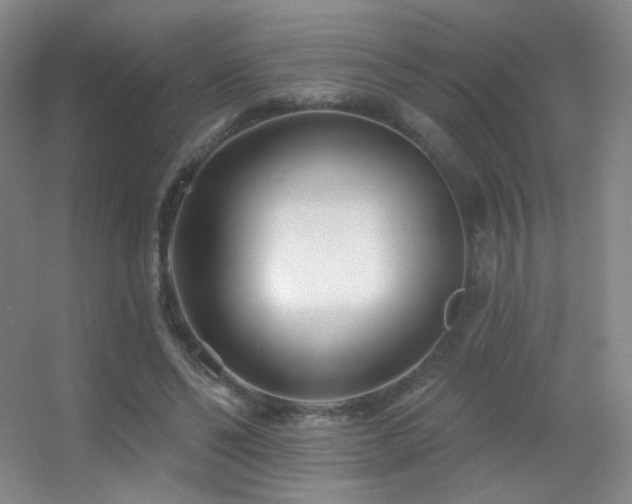X0000055520494200508121047