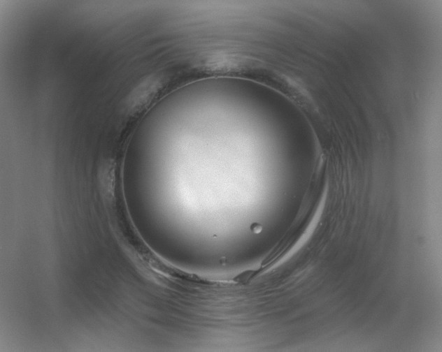 X0000055520495200508121047