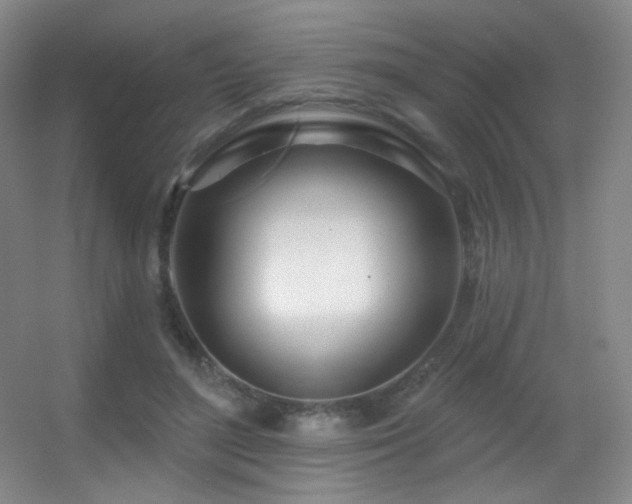 X0000055520500200508121047