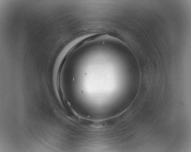 X0000055520502200508121047