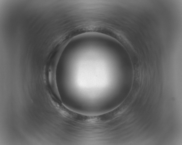 X0000055520505200508121047