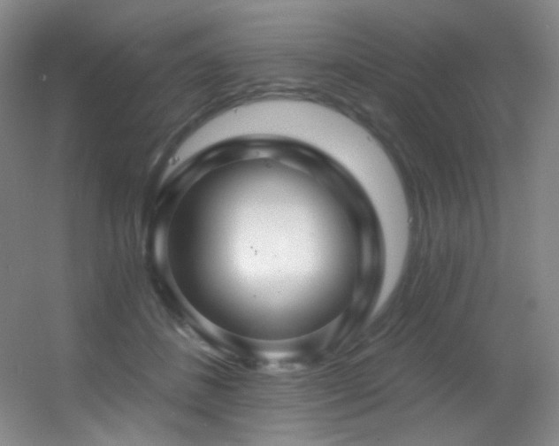X0000055520508200508121047