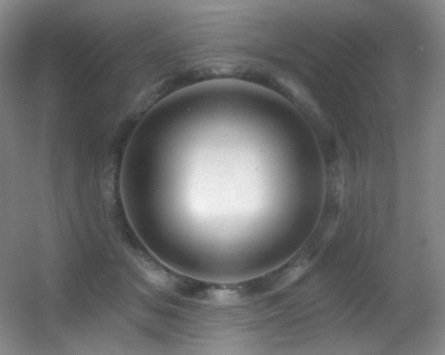 X0000055520509200508121047