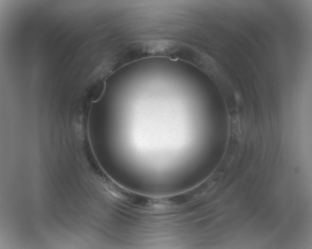 X0000055520510200508121047