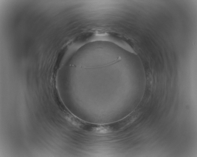X0000055520511200508121047