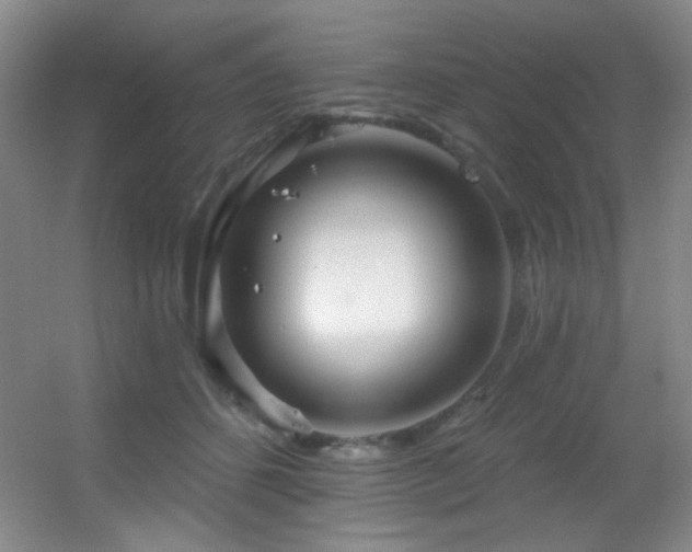 X0000055520512200508121047